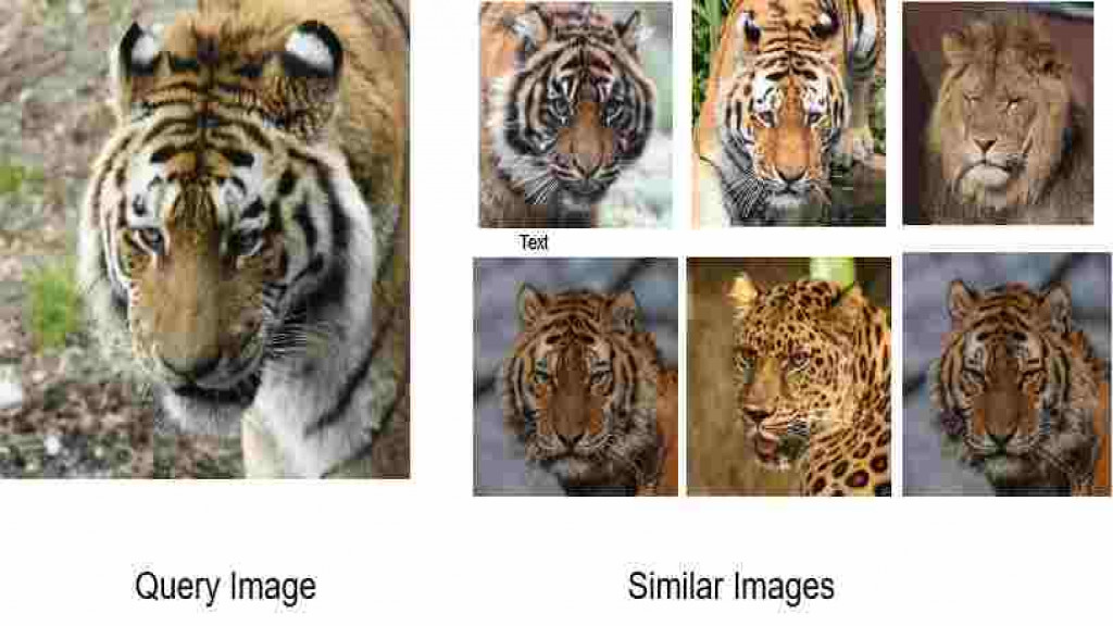 Image Similarity Search by using Metric Learning
